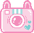 Pink Camera
