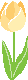 Yellow Tulip